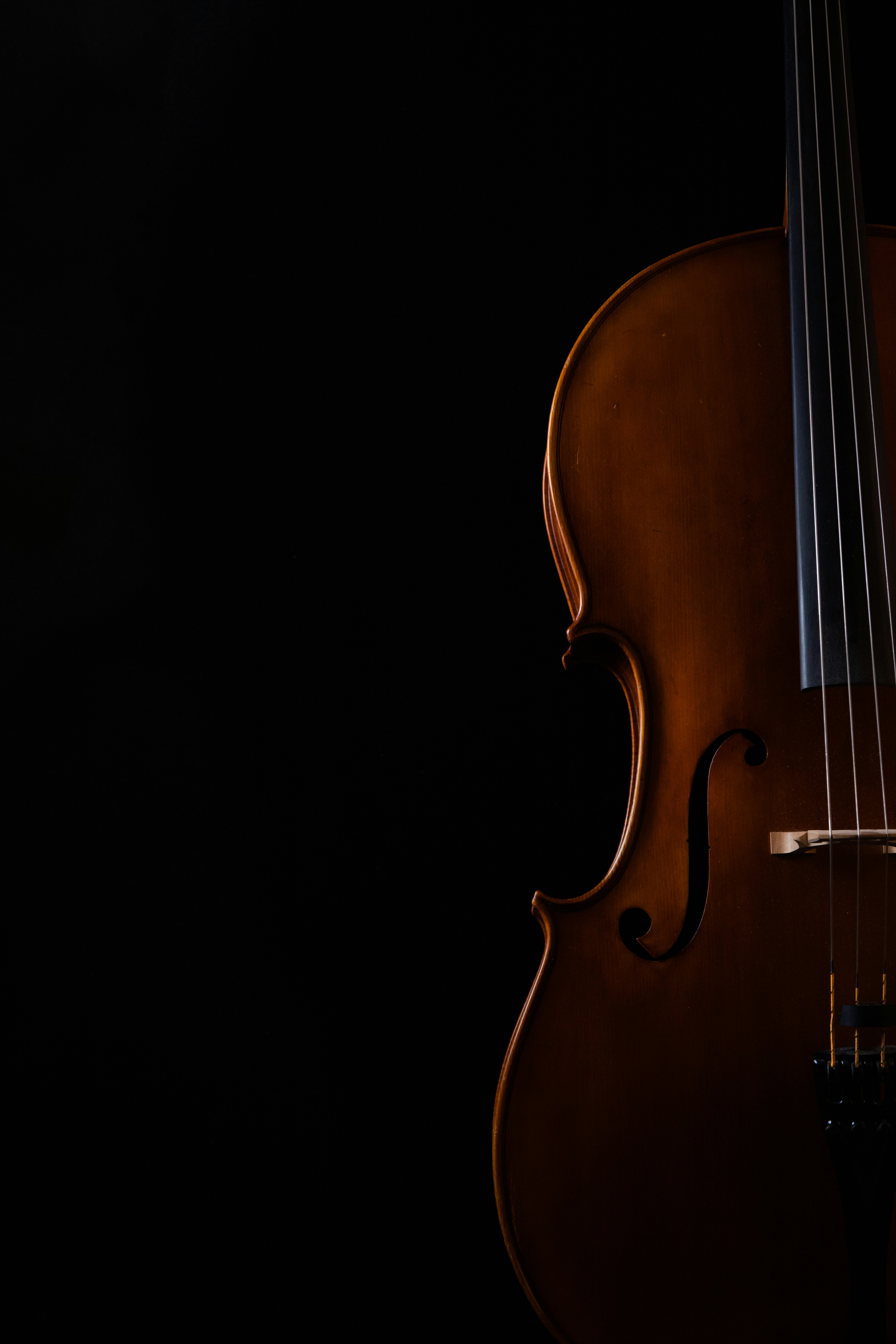 brown violin with black background